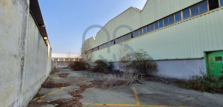 CAPANNONE INDUSTRIALE CON AREA ESTERNA