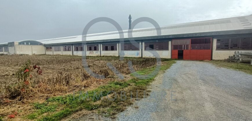 CAPANNONE INDUSTRIALE CON AREA ESTERNA