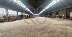 CAPANNONE INDUSTRIALE CON AREA ESTERNA