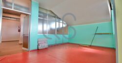 LOCALE COMMERCIALE E AMPIO MAGAZZINO IN VENDITA