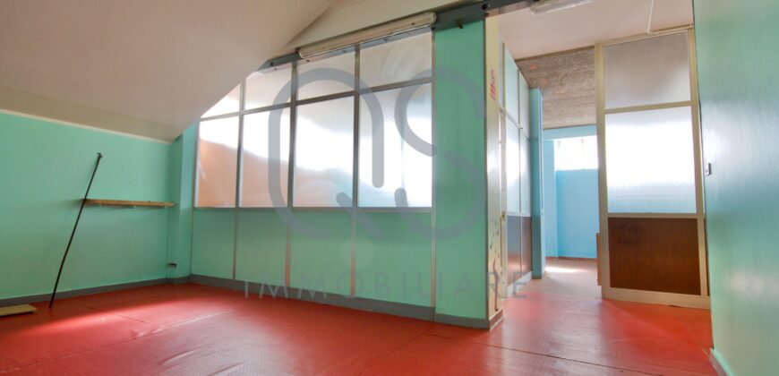 LOCALE COMMERCIALE E AMPIO MAGAZZINO IN VENDITA