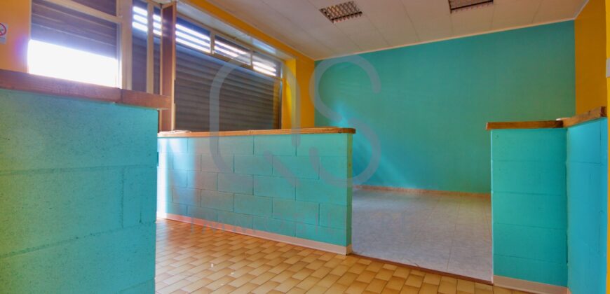 LOCALE COMMERCIALE E AMPIO MAGAZZINO IN AFFITTO