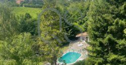 ESCLUSIVA VILLA CON PISCINA E TERRENI IN VENDITA