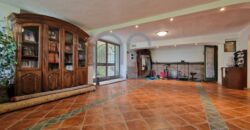 ESCLUSIVA VILLA CON PISCINA E TERRENI IN VENDITA